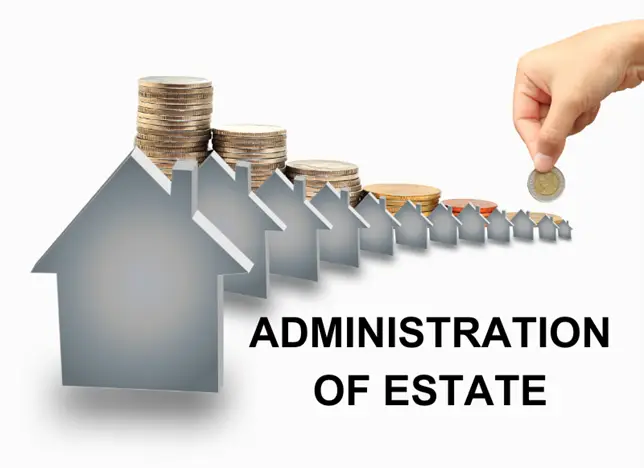WHAT IS THE INDEPENDENT ADMINISTRATION OF ESTATES ACT (IAEA)
